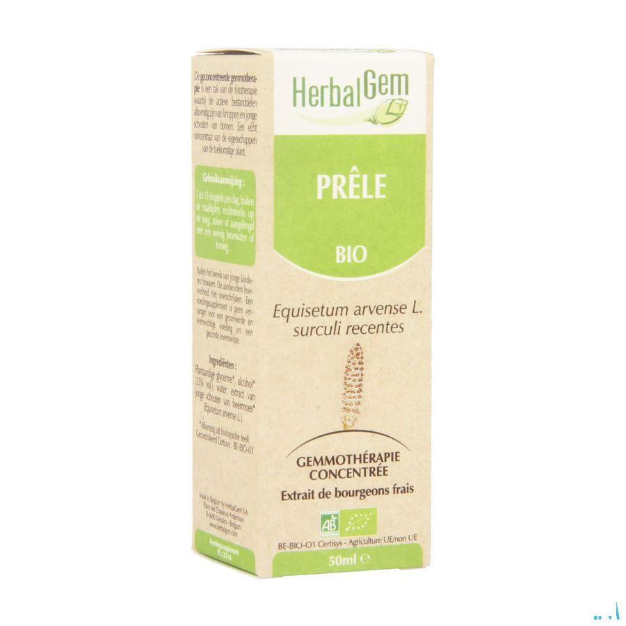 Herbalgem Prele Macerat 50 ml  -  Herbalgem