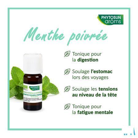 Phytosun Pepermunt Fr-bio-01 10 ml