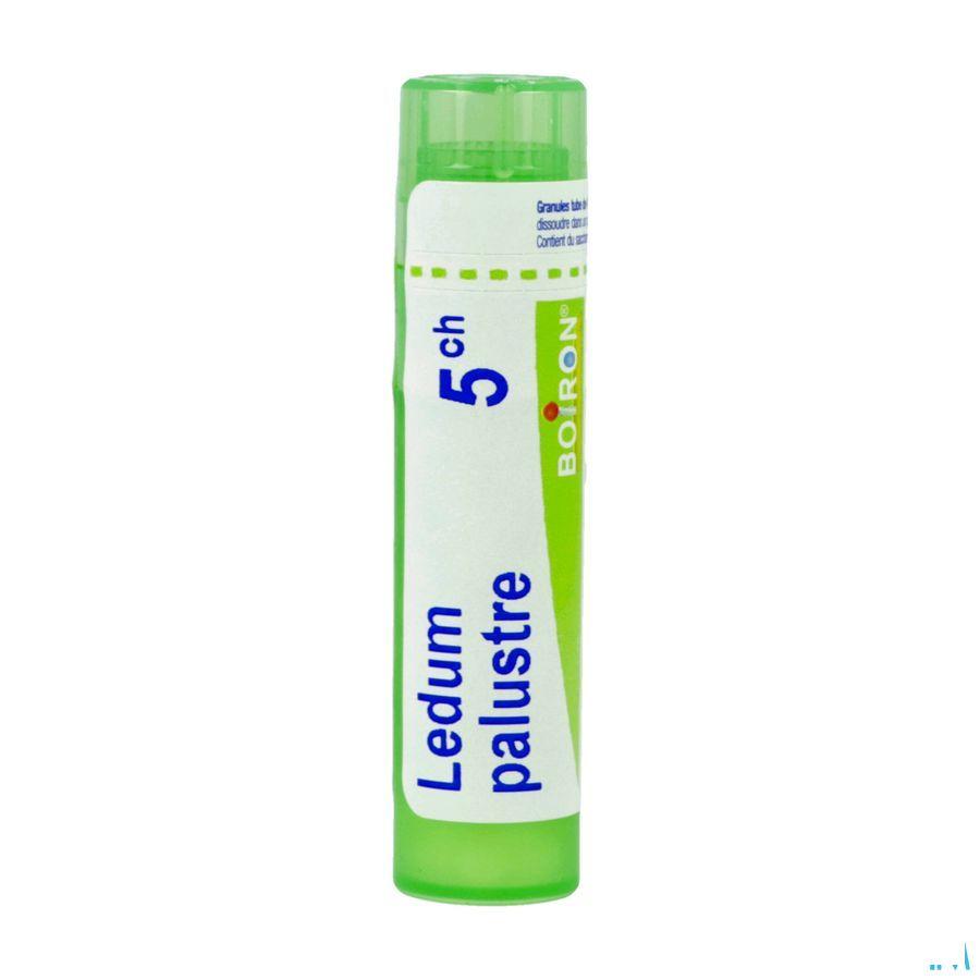 Ledum Palustre 5CH Gr 4g  -  Boiron