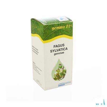 Fagus Sylvatica Gemmo D1 125 ml  -  Boiron