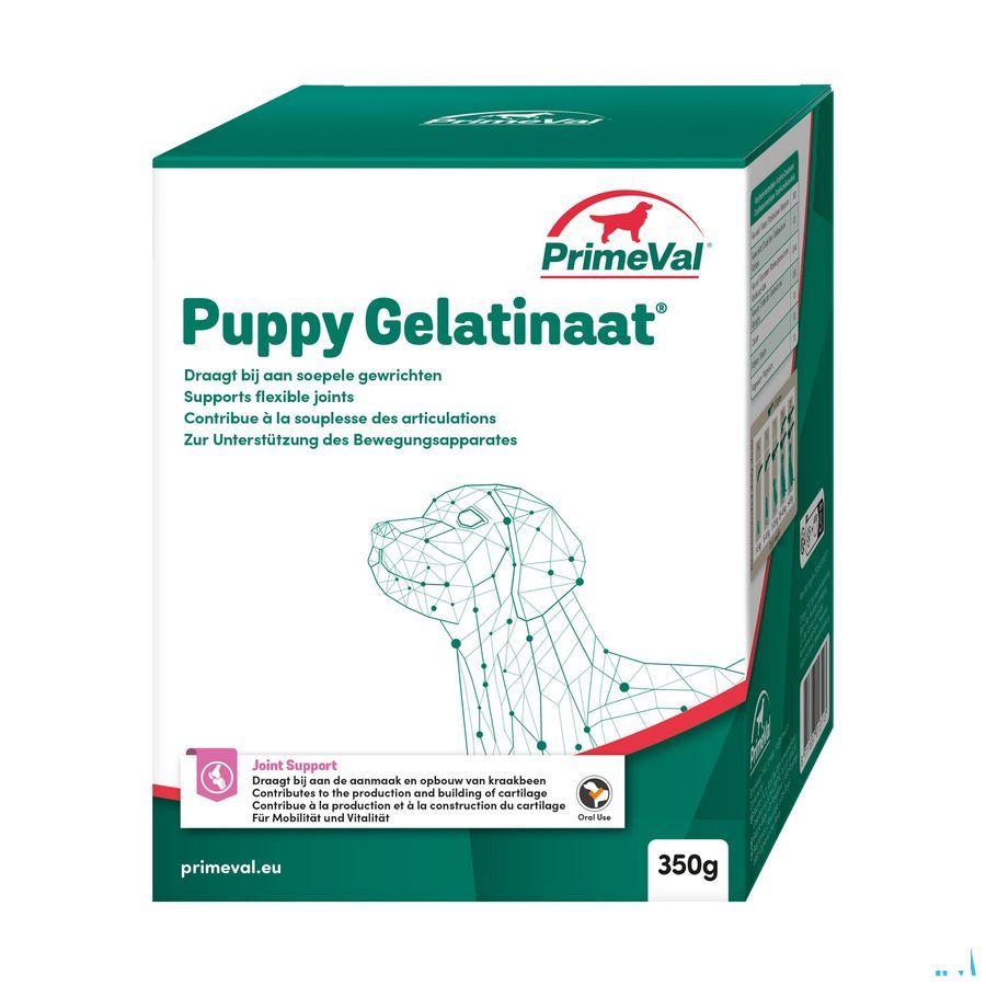Primeval Puppy Artrose Gelatinaat 350 gr 