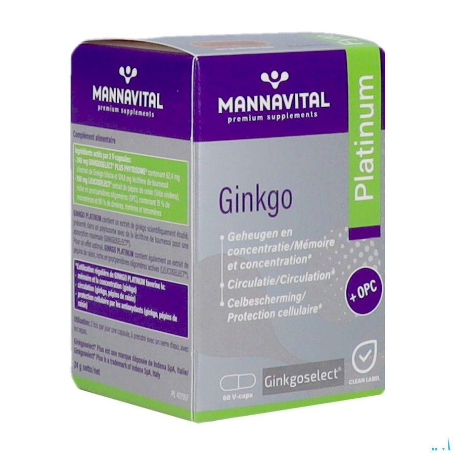Mannavital Gingko V-caps 60  Copy