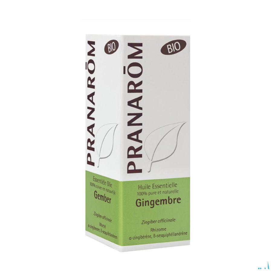 Gember Bio Essentiele Olie 5 ml  -  Pranarom