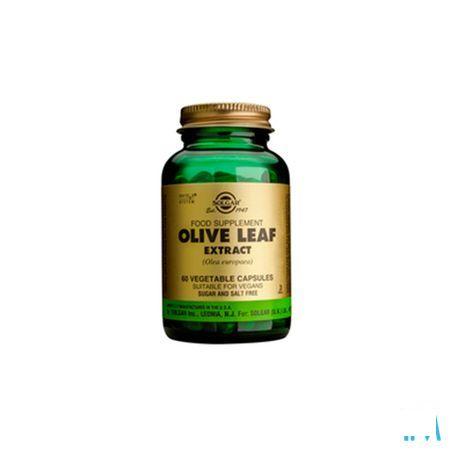 Solgar Olive Leaf Extract (olijfblad) V-Capsule 60  -  Solgar Vitamins