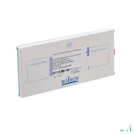 Sepia Officinalis Cure 6k-MK  -  Boiron