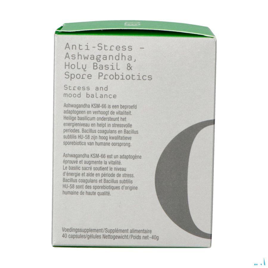 Metis A/Stress 03 Start Caps 30