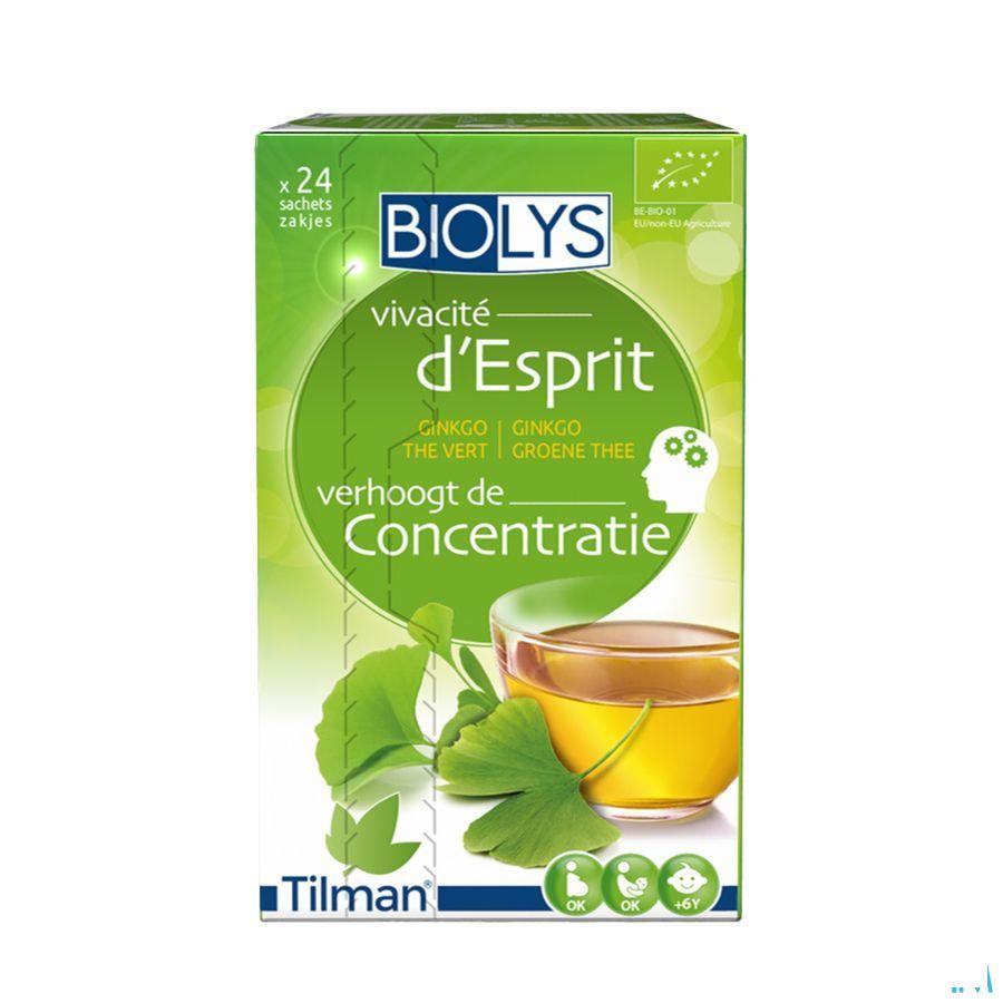 Biolys Ginkgo Groene Thee Zakjes 24  -  Tilman