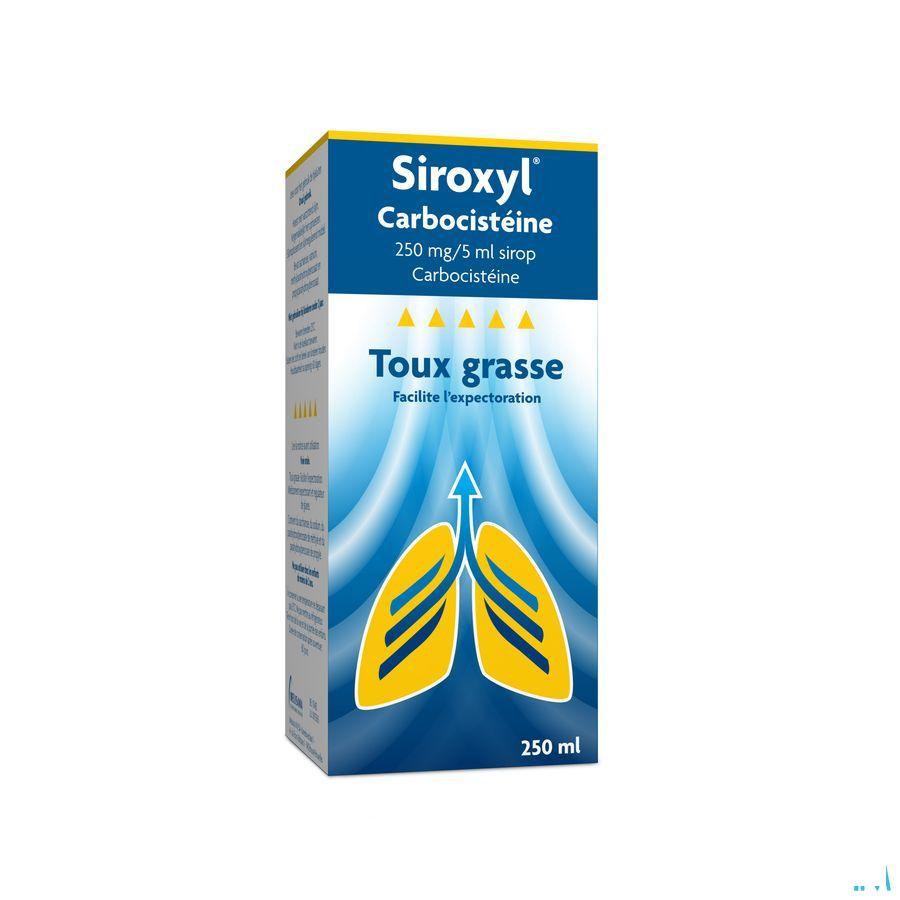 Siroxyl Carbocisteine 250Mg/5 ml Siroop 250 ml  -  Melisana