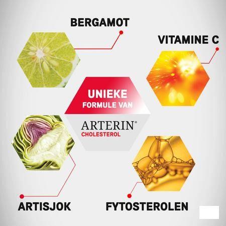 Arterin Cholesterol Comprimes 45