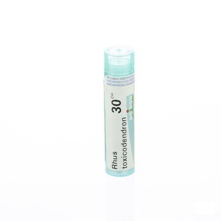 Rhus Toxicodendron 30CH Gr 4g  -  Boiron