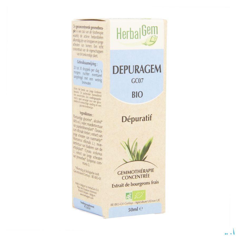 Herbalgem Depuragem Complex 50 ml  -  Herbalgem