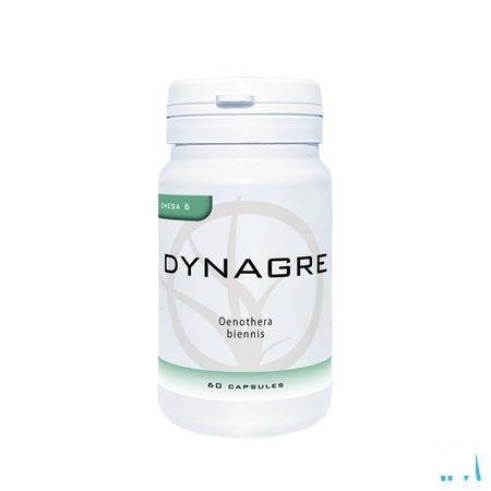 Dynagre Capsule 60 Dynar  -  Dynarop Products