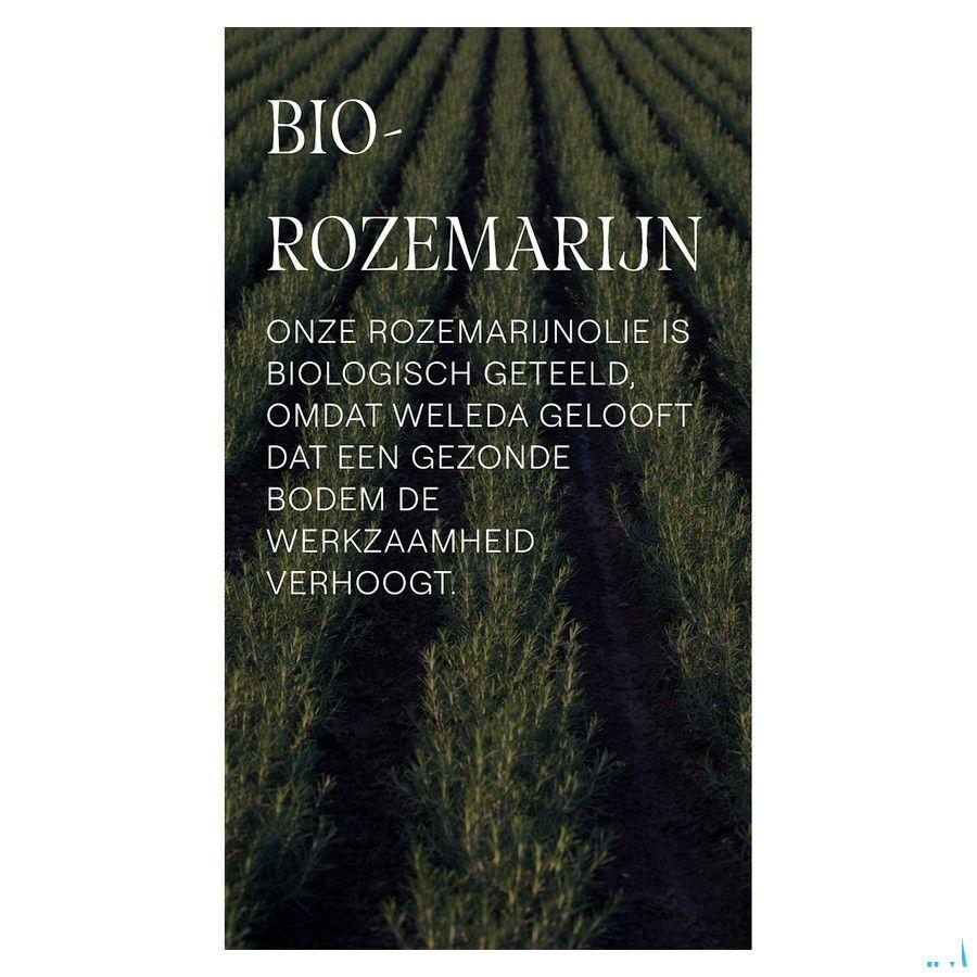 Weleda Shampooing Revitalisant Romarin 250 ml  -  Weleda