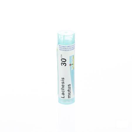 Lachesis Mutus 30CH Gr 4g  -  Boiron