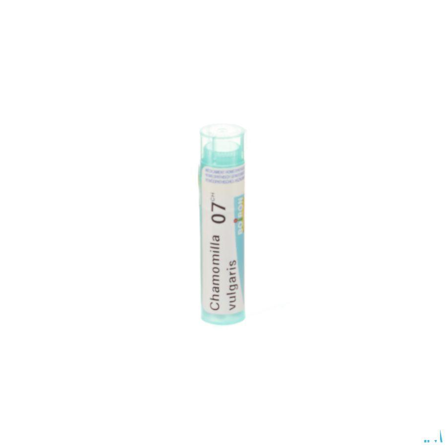 Chamomilla Vulgaris 7CH Gr 4g  -  Boiron