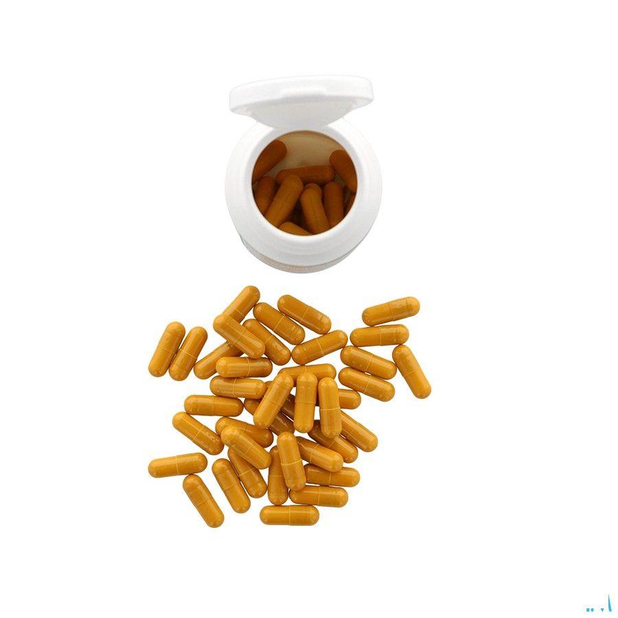 Ergyprotect Confort Caps 60  -  Laboratoire Nutergia
