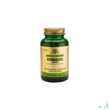 Solgar Echinacea Extract V-Capsule 60  -  Solgar Vitamins