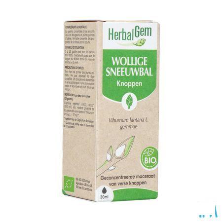 Herbalgem Viorne Bio 30 ml