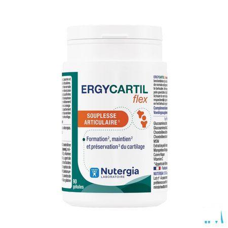 Ergycartil Flex Capsule 90  -  Lab. Nutergia