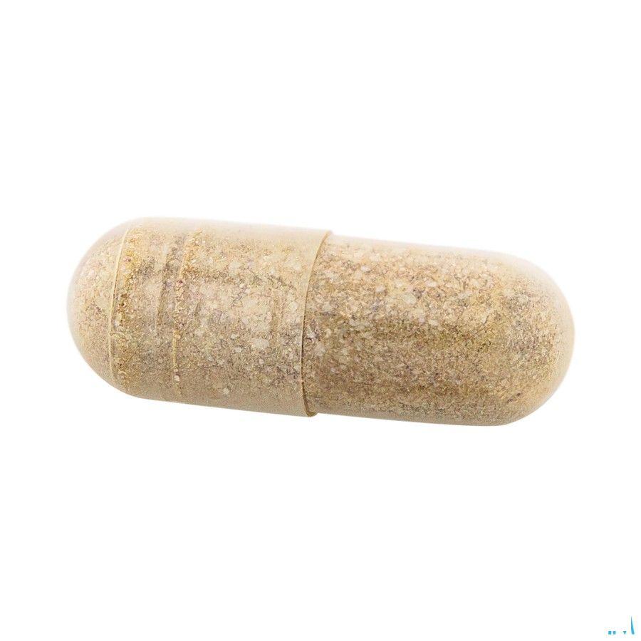 Ducray Anacaps Expert Progres. Haarutival Caps 90