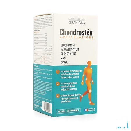 Chondrosteo Tabletten 120