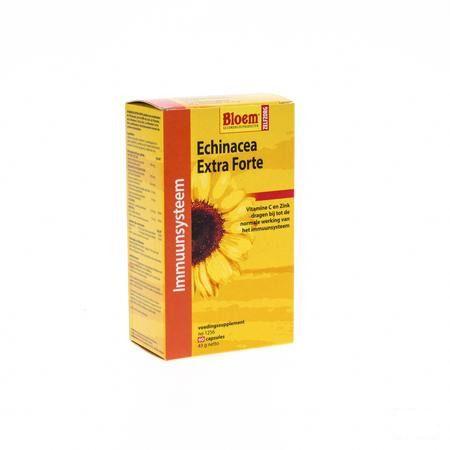 Echinacea Extra Forte Capsule 60