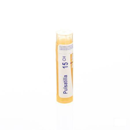 Pulsatilla 15CH Gr 4g  -  Boiron