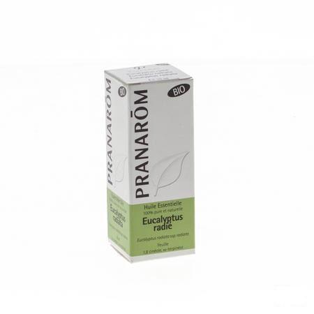 Eucalyptus Radiata Bio Huile Essentielle 10 ml  -  Pranarom