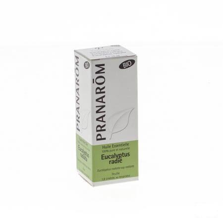 Eucalyptus Radie Bio Essentiele Olie 10 ml  -  Pranarom