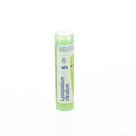 Lycopodium Clavatum 5CH Gr 4g  -  Boiron