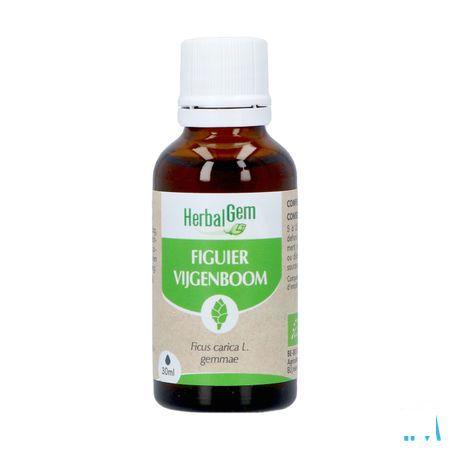 Herbalgem Figuier Bio 30 ml