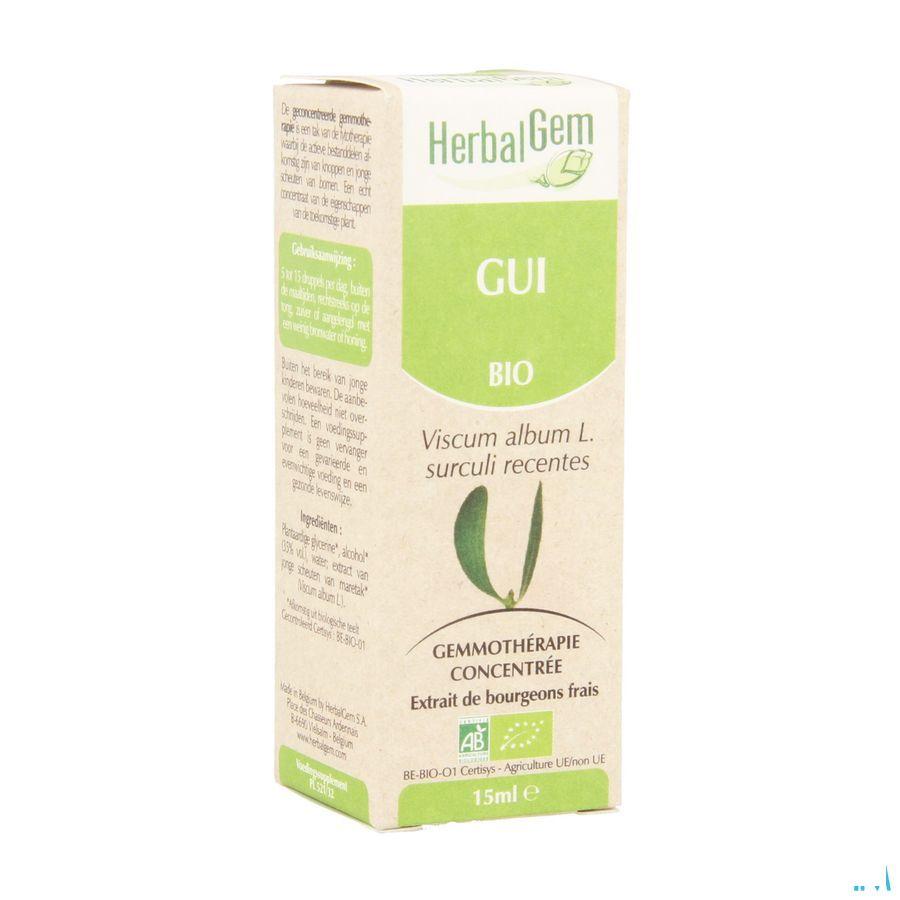 Herbalgem Gui Macerat 15 ml  -  Herbalgem
