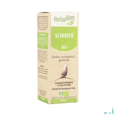 Herbalgem Lijsterbes Maceraat 50 ml  -  Herbalgem