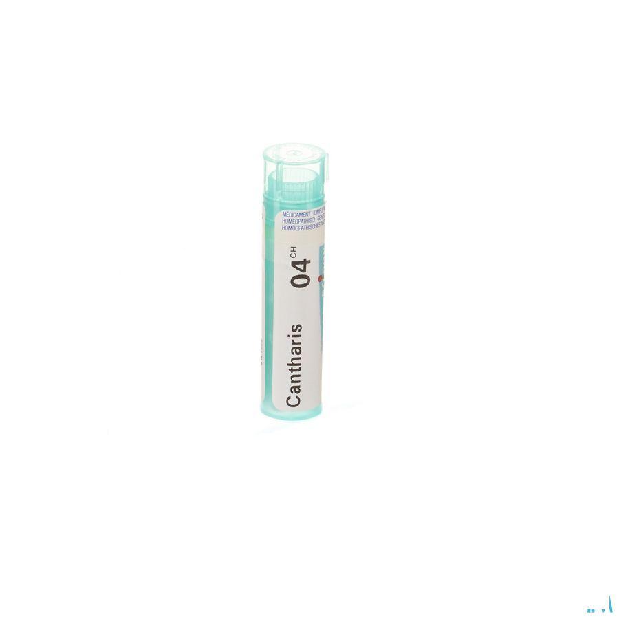 Cantharis 4ch Gr 4g  -  Boiron