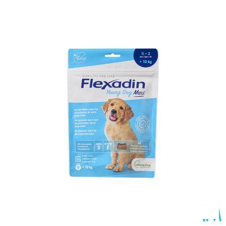 Flexadin Young Dog Maxi Chew 60