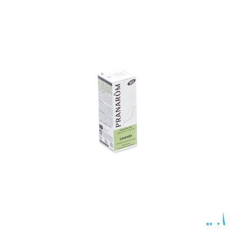 Lavandin Grosso Bio Huile Essentielle 10 ml  -  Pranarom