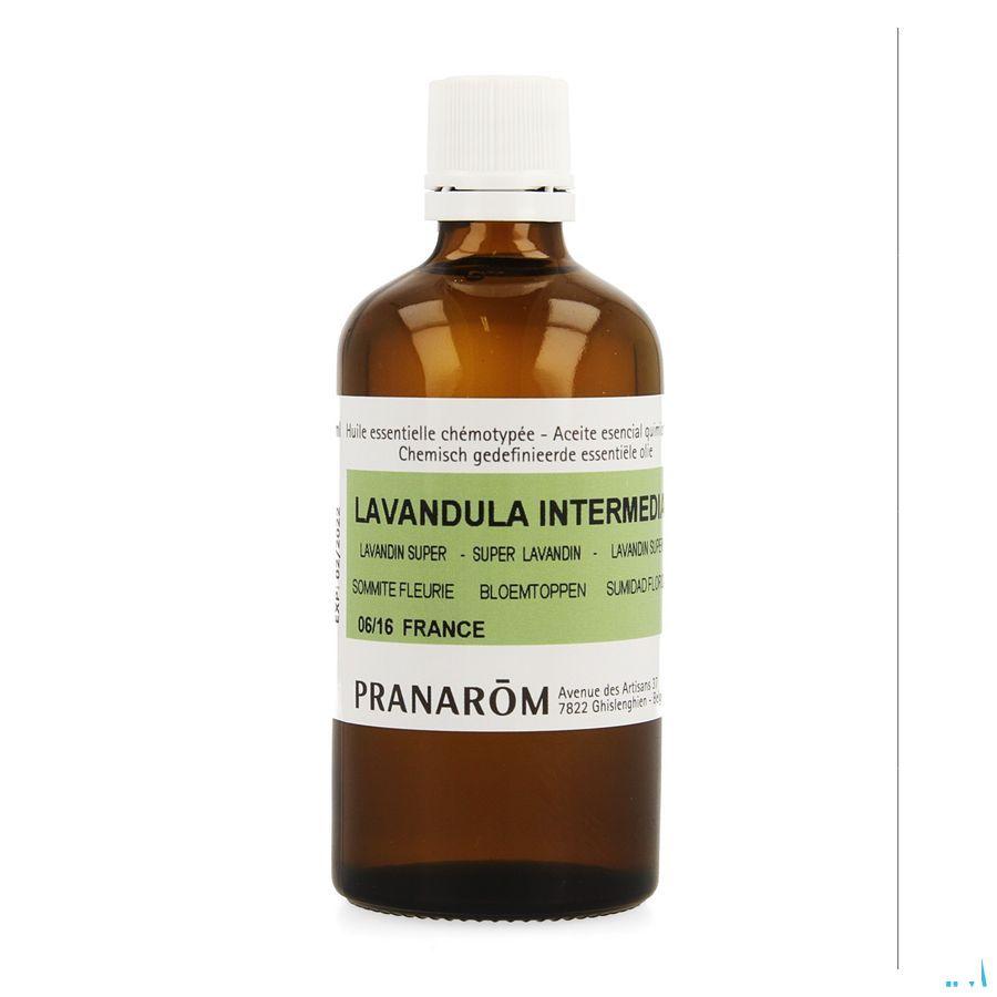 Lavandin Super Essentiele Olie 100 ml  -  Pranarom