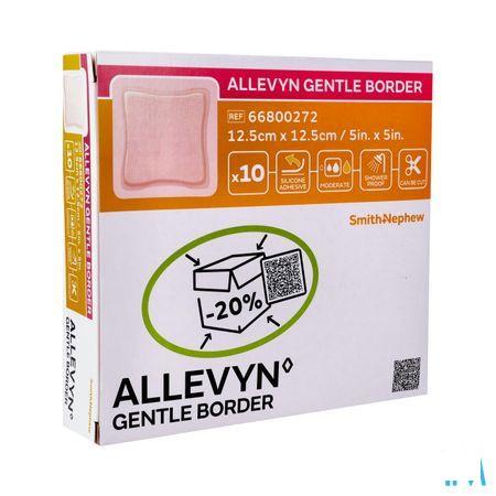 Allevyn Gentle Border Ster 12,5x12,5cm 10 66800272  -  Smith Nephew