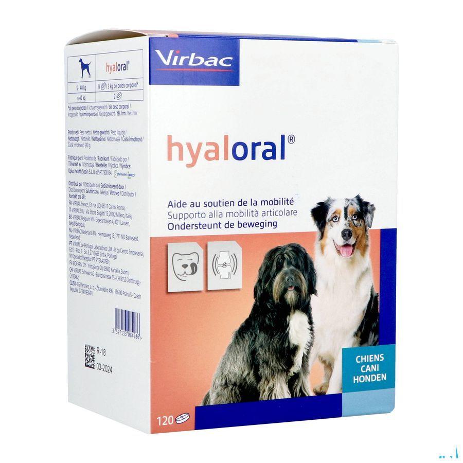 Hyaloral Comp 120