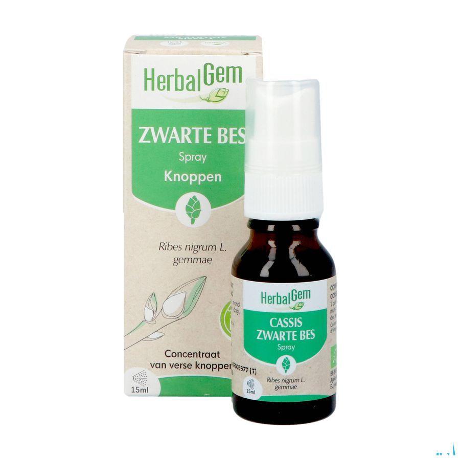 Herbalgem Zwarte Bes Bio Spray 15 ml