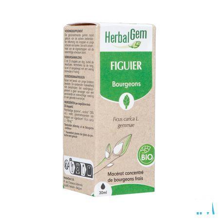Herbalgem Figuier Bio 30 ml
