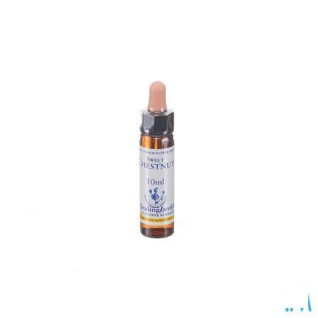 Healing Herbs Sweet Chestnut 10 ml
