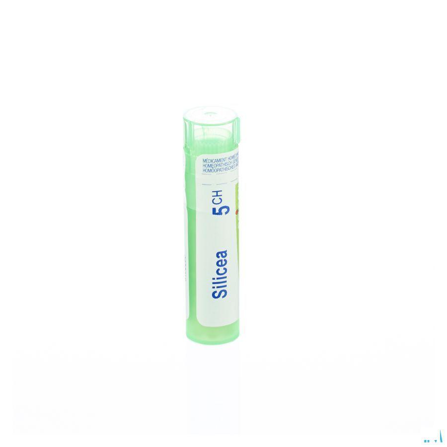 Silicea 5CH Gr 4g  -  Boiron