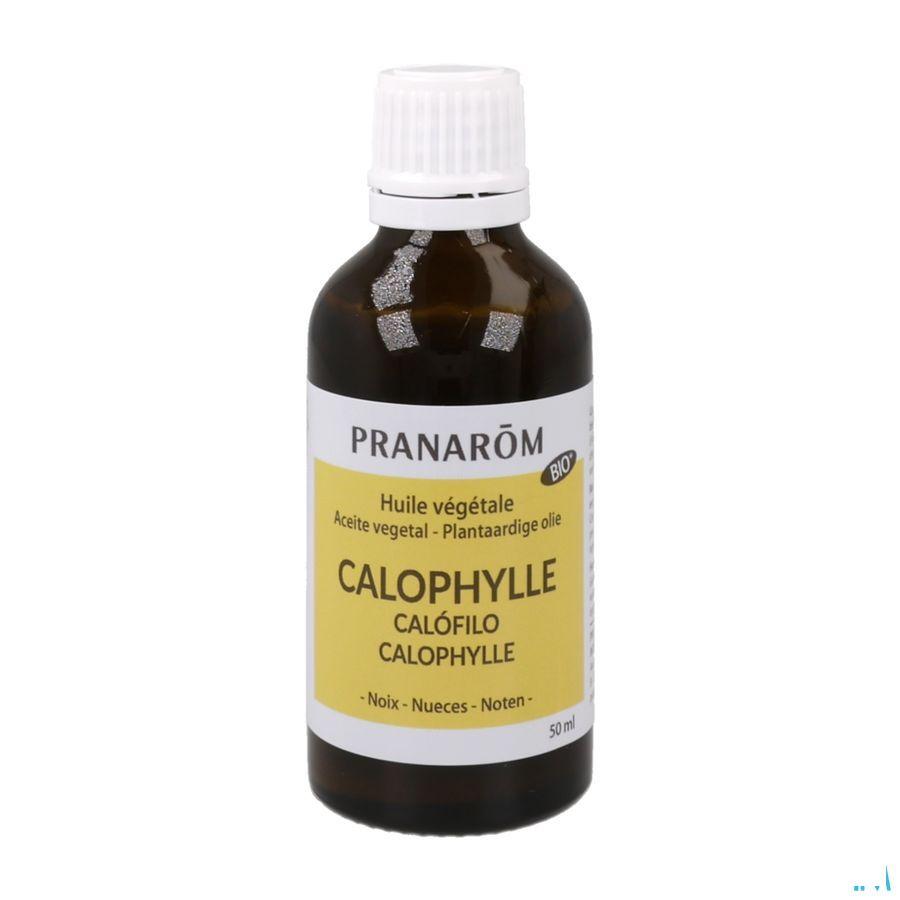 Calophylle Bio Huile Vegetale 50 ml  -  Pranarom