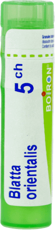 Blatta Orientalis 5CH Gr  -  Boiron