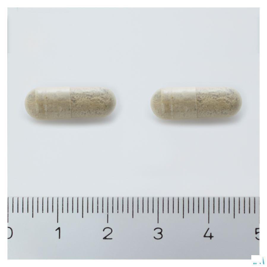 Arkocaps Bacopa Plantaardig 45  -  Arkopharma