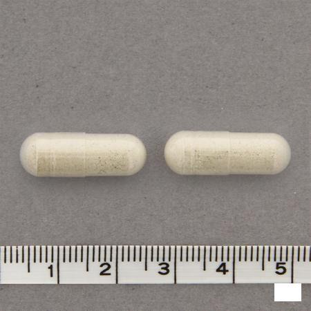 Nutriselenium Synergy 90 VegeCapsule   -  Nutrisan