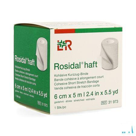 Rosidal Haft Cohesieve Windel 6cmx5m 1 31973  -  Lohmann & Rauscher