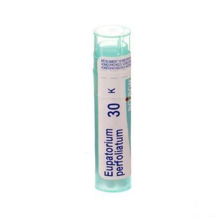 Eupatorium Perfoliatum 30K Gr 4g  -  Boiron