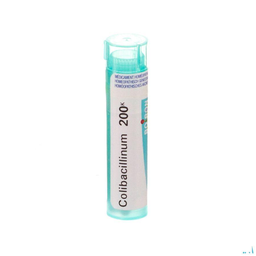 Colibacillinum 200K Gr 4g  -  Boiron